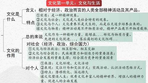 高考政治一轮复习宝藏干货 必修1第四单元精品解析与资源全攻略
