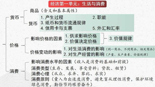 高考政治一轮复习必修1第四课精华解析与备考指南